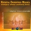 (PP-2) Kryszta� Osobistego Miejsca (odg�osy le�nej przyrody)