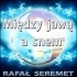 Mi�dzy Jaw� a Snem - Rafa� Seremet