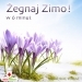 W 6 Minut: �egnaj Zimo!