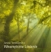 Wewn�trzne L�nienie