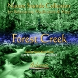 Birds & Streams 1 - Forest Creek