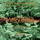 Birds & Streams 3 - Valley Brook
