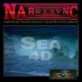 Sea 4D - Nabra-Sync