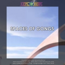 Spaces of Gongs (Przestrzenie Gongw)