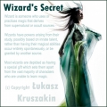 Wizard's Secret