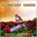 S�oneczny Ogr�d